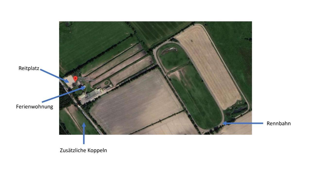 Ostenfelder Stuuv Ostenfeld (Nordfriesland) Exterior foto